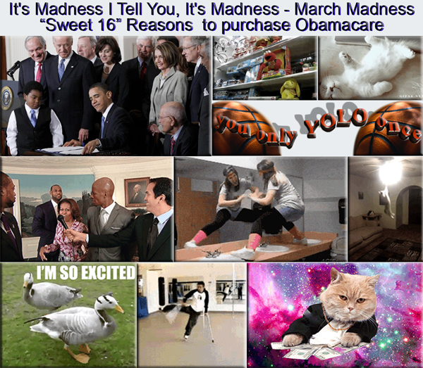 Your Government at Work - You Can't “Gif” This Stuff Up / “March Madness” - “It's Madness I Tell You, It's Madness - March Madness” “Sweet 16” Reasons for Obamacare Purchase: Study Estimates A Third Of Uninsured Won't Enroll In Health Plans