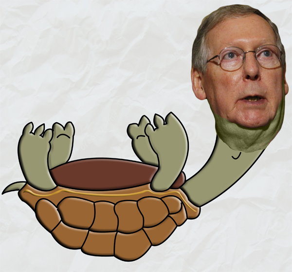 Mitch McConnell Turtle
