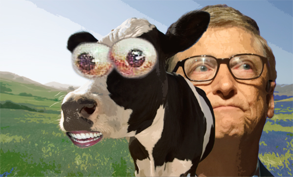 Bill Gates Counts Iowa Votes