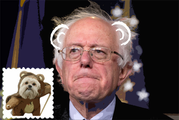 >Hillary Clinton a “West Highland White Terrier”: Microsoft's bizarre new AI project can tell you what breed of dog you resemble from a picture