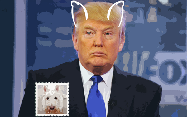 >Donald Trump a “Scottish Terrier”: Microsoft's bizarre new AI project can tell you what breed of dog you resemble from a picture