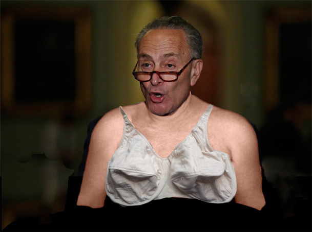 Old Ladies Used Bra Salesman wouldn't buy this “Old Bra”: Chuck Schumer: 'Dereliction of duty' for Trump to give 'equal credence' to Russian election denials