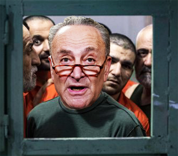 Chuck Schumer Supreme Court rant, if Republican Schumer would be locked up
