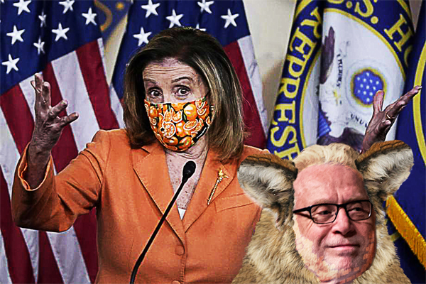 Mad Dog vs Wolf - Pelosi vs. Blitzer: CNN interview gets heated: You don't know what you're talking about