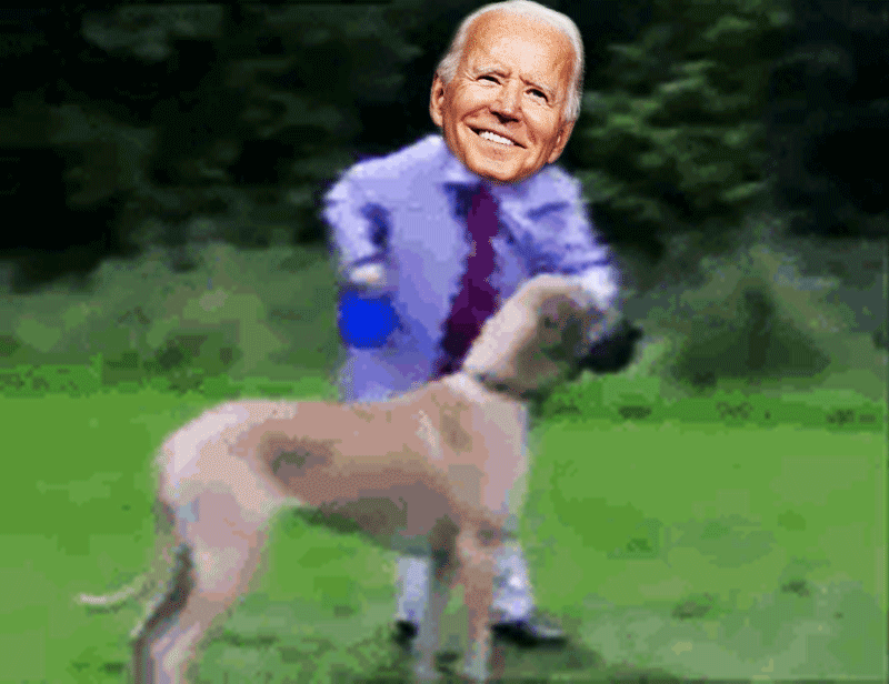 Joe Biden Walks His Dog