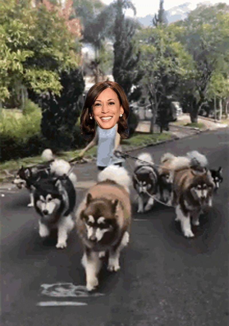 Kamala Harris Walking Her Dogs
