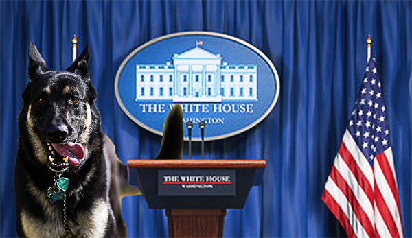 “First Dog Speaks To Lapdog Press:” Corporate Media Lapdogs Ask The Hard Hitting Questions: “First Dog Speaks Out:” How President Biden's dog, Major, became part of his family