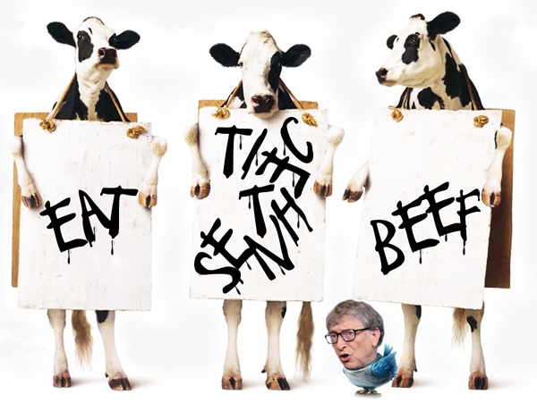 Bill Gates Pays Chick-fil-A Cows to Sign-Up on Synthetic Beef To Stop Cow Flatulence: Billionaire Bill Gates says the U.S. and other wealthy countries 'should move to 100% synthetic beef' to prevent climate change - after buying up a record amount of farmland in 18 states