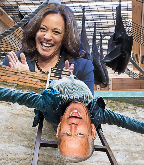 Kam & Joe Hang'n Out With Friends: Why We Should Worry That Kamala Harris Is Already Taking Foreign Calls On Biden’s Behalf