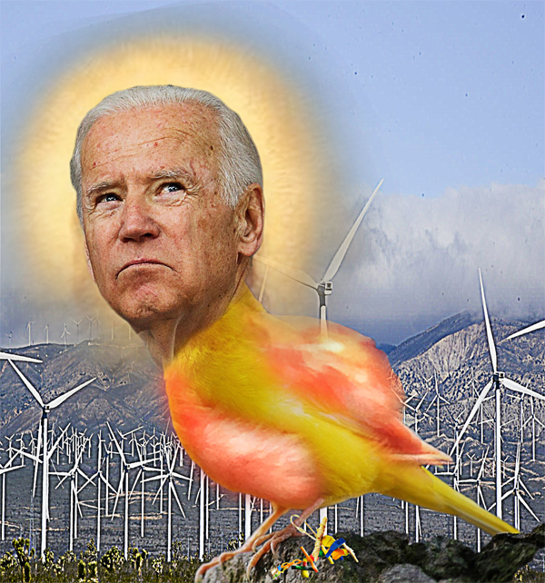 Joe Biden Canary In A Wind Mine