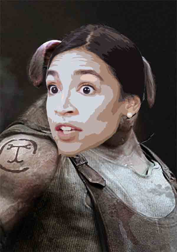 AOC Roasted After Tweeting Photos Of “Squalid Conditions” Her Grandma Lives In: “You Need To Help Her!”