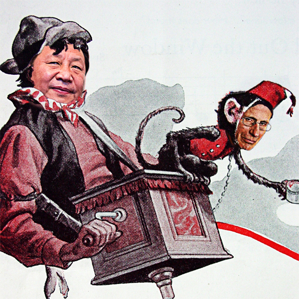 Xi Jinping and Dr Fauci “The Organ Grinder”