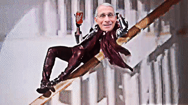 Count Fauci: Judicial Watch Obtains Records Showing NIAID under Dr. Fauci Gave Wuhan Lab $826k for Bat Coronavirus Research From 2014 to 2019