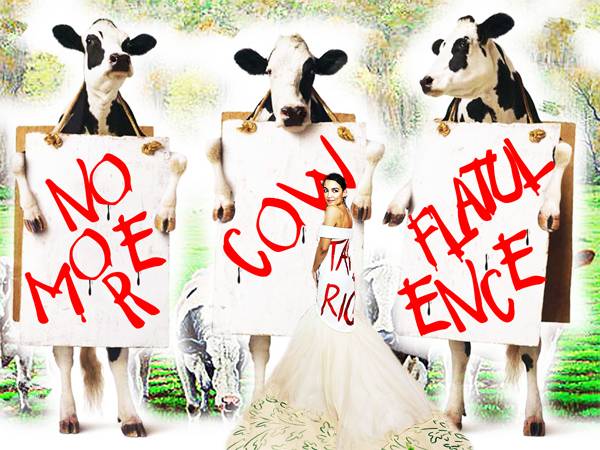 Chick-fil-A Cows Protest Ocasio-Cortez Red Font Dress