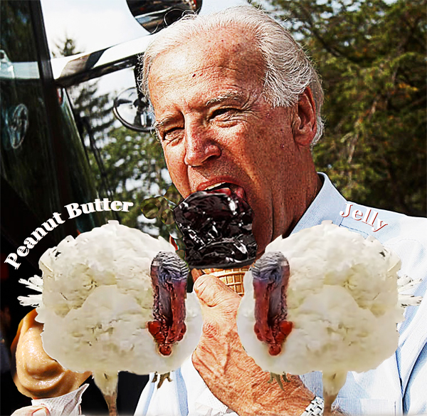 Biden pardons turkeys Peanut Butter and Jelly while they prepare for ceremony in five-star D.C. hotel