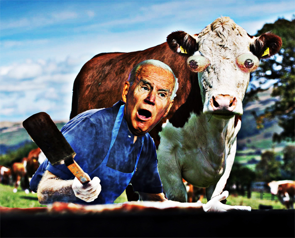 Joe Biden Cuts To The Bull