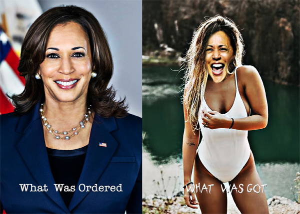 Kamala Harris: “What Was Ordered“ and “What Was Got”