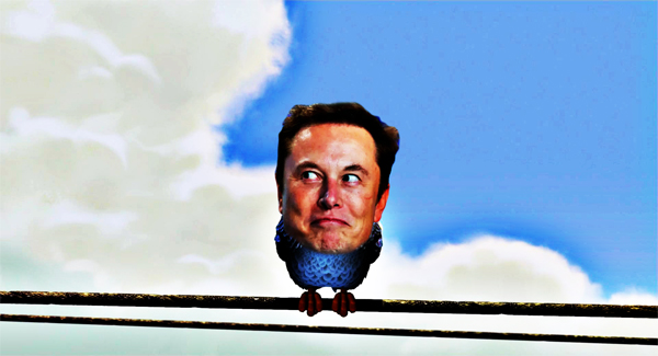 The Left's Meltdown Commences! Twitter Users Lose it Over Elon Musk’s Successful Takeover Bid