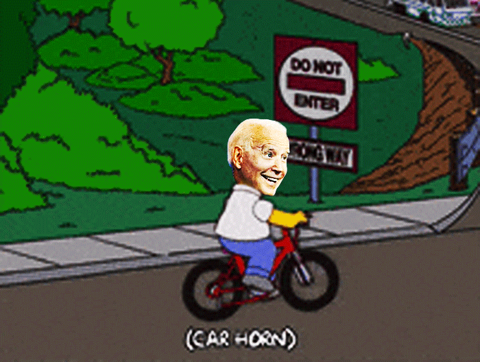 President “Bicycling” Biden, Meeting and Greeting The Public In Traffic 79, FALLS OFF his bike