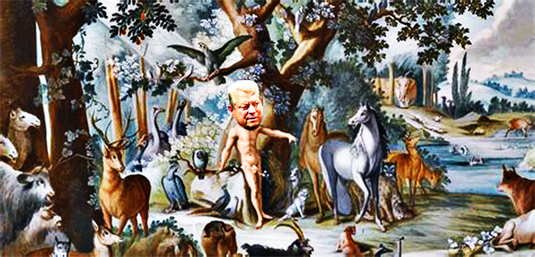 Al Gore's Garden Of Eden
