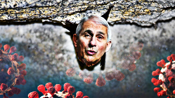 Dr. Anthony Fauci has steered another lucrative grant to study bat viruses to the same company suspected of conducting gain-of-function research at the mysterious Chinese laboratory where some experts believe COVID-19 was hatched.