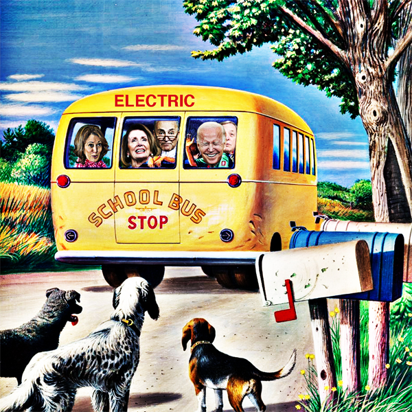 ice President Kamala Harris Unveils $5 Billion For Electric School Buses