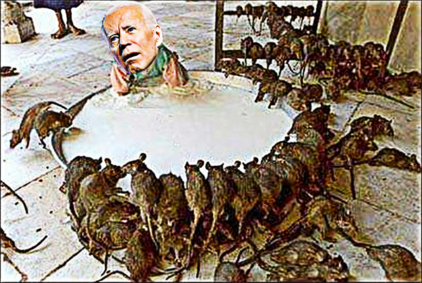 Joe Biden - Dirty Rats In Nightshirts