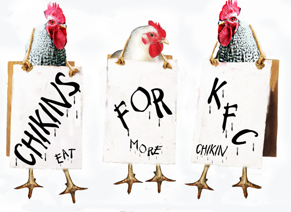 “Chickens For KFC”