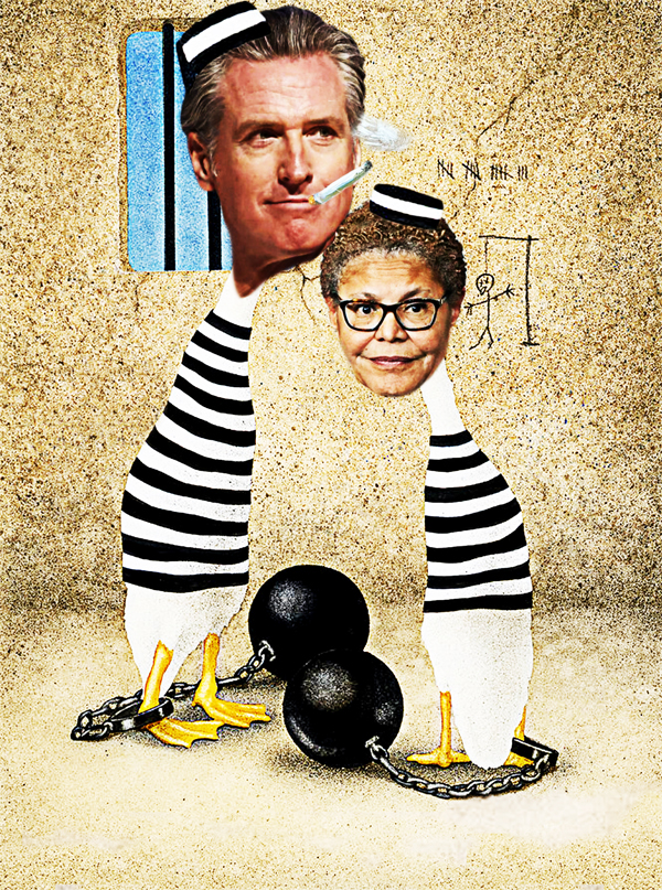 California Jail Birds