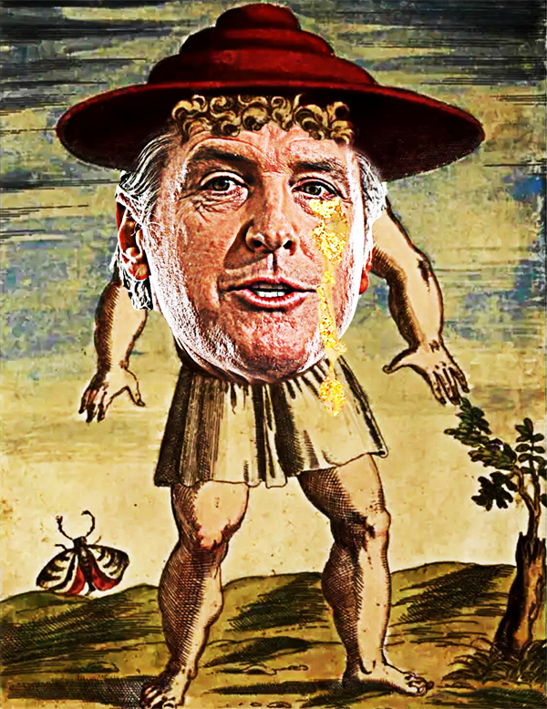 California Governer Gavin Newsom Suffering From Body Dysphoria and Trump Derangement Syndrome (TDS)