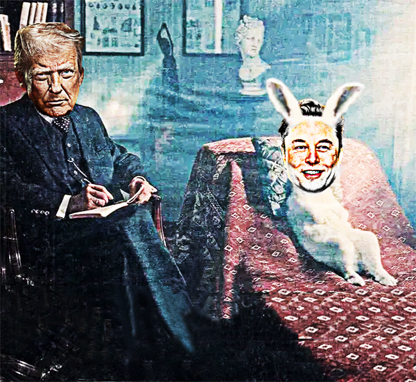 Donald Tump Psychiatrist Analyzing Elon Musk The Rabbit