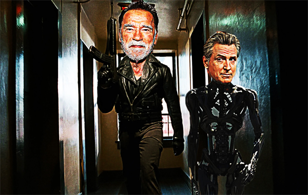 GERRYMANDERING ELECTIONS