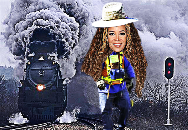 SUNNY HOSTIN TRAIN WRECK - &ldquo;I'm A Co-Host Of The View&rdquo;