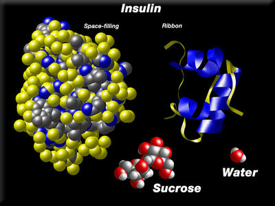 First use of insulin to treat diabetes in a human patient