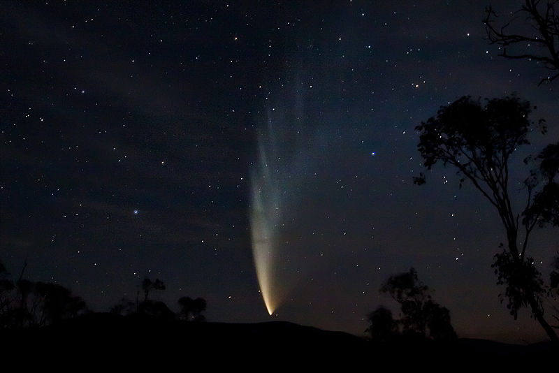 Comet McNaught: C/2006 P1 (McNaught)