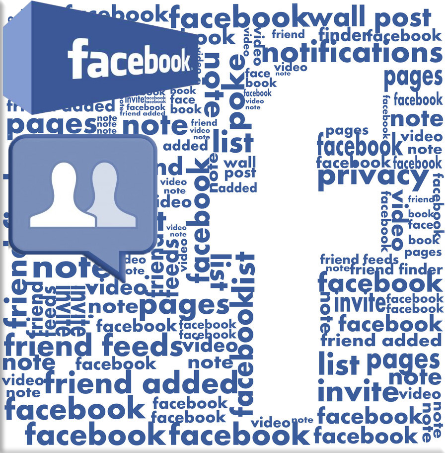 Facebook: a social networking service launched in February 2004, owned and operated by Facebook, Inc