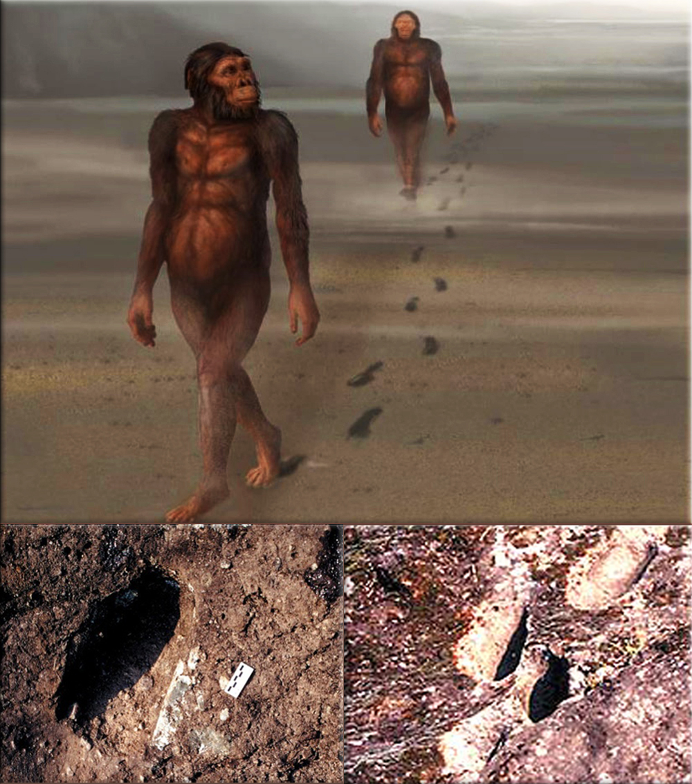 Human evolution: The journal Nature reports that 350,000-year-old footprints of an upright-walking human have been found in Italy