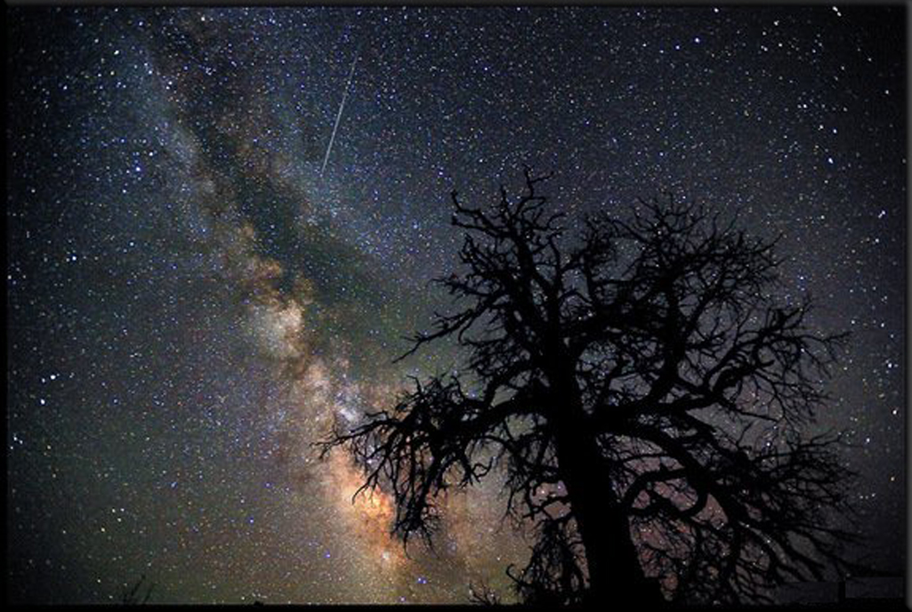 Perseid meteor shower over Mount Tiede National Park