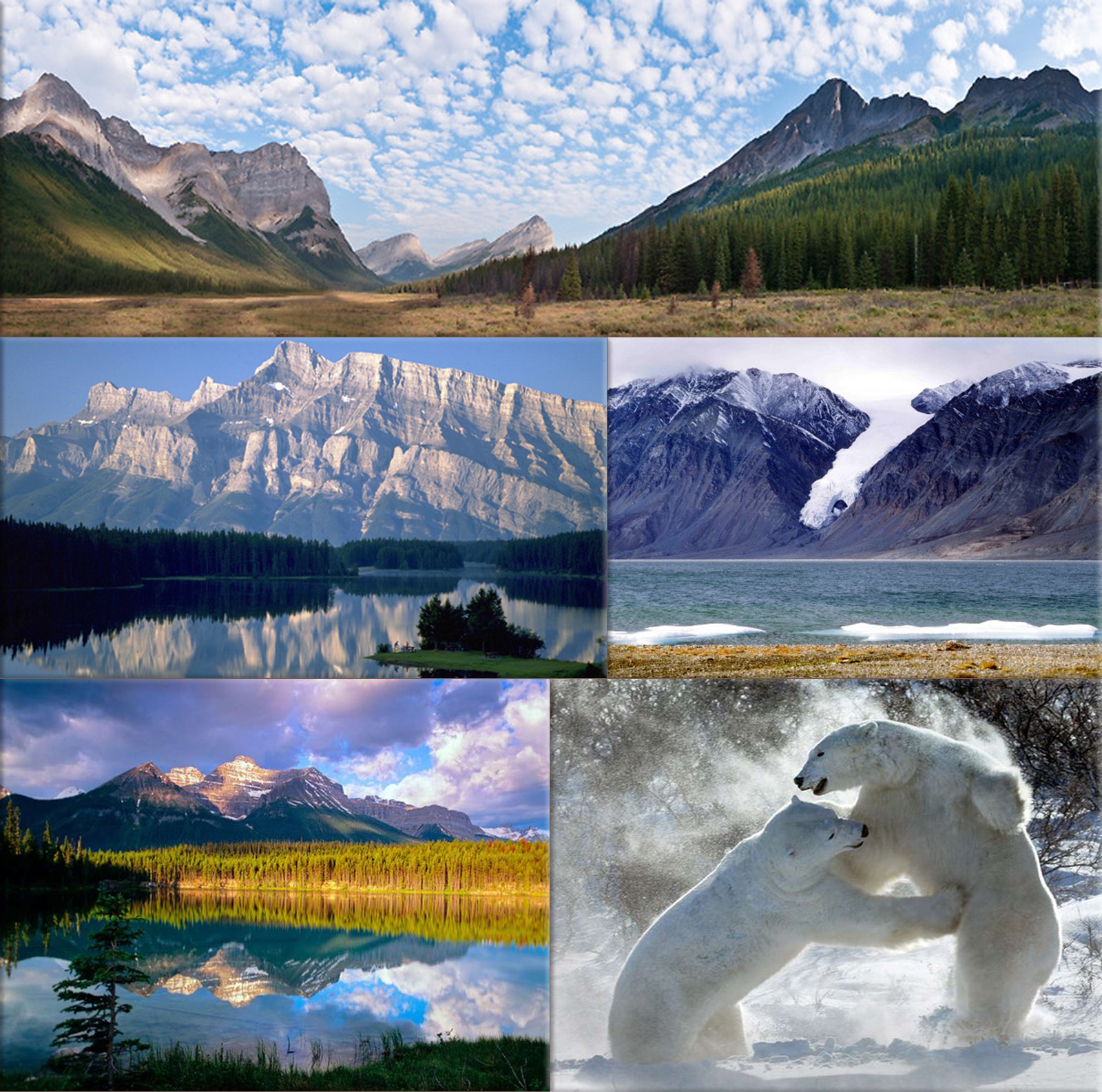 Parks Canada: the world's first national park service, is established as the Dominion Parks Branch under the Department of the Interior on May 19th, 1911.