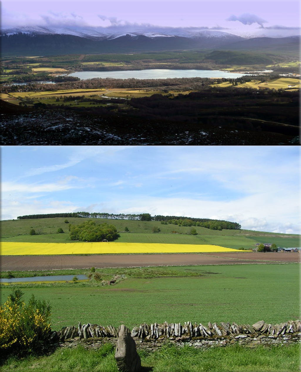 Battle of Dun Nechtain: Dunnichen Moss. (The body of water to the left is a modern pond)  ● Loch Insh, possible site of Linn Garan.