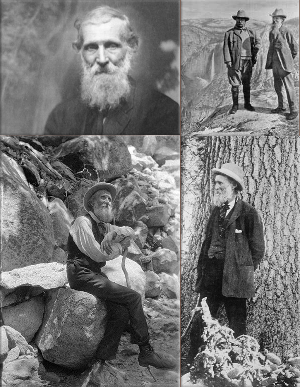 The Sierra Club, led by John Muir, was incorporated in San Francisco