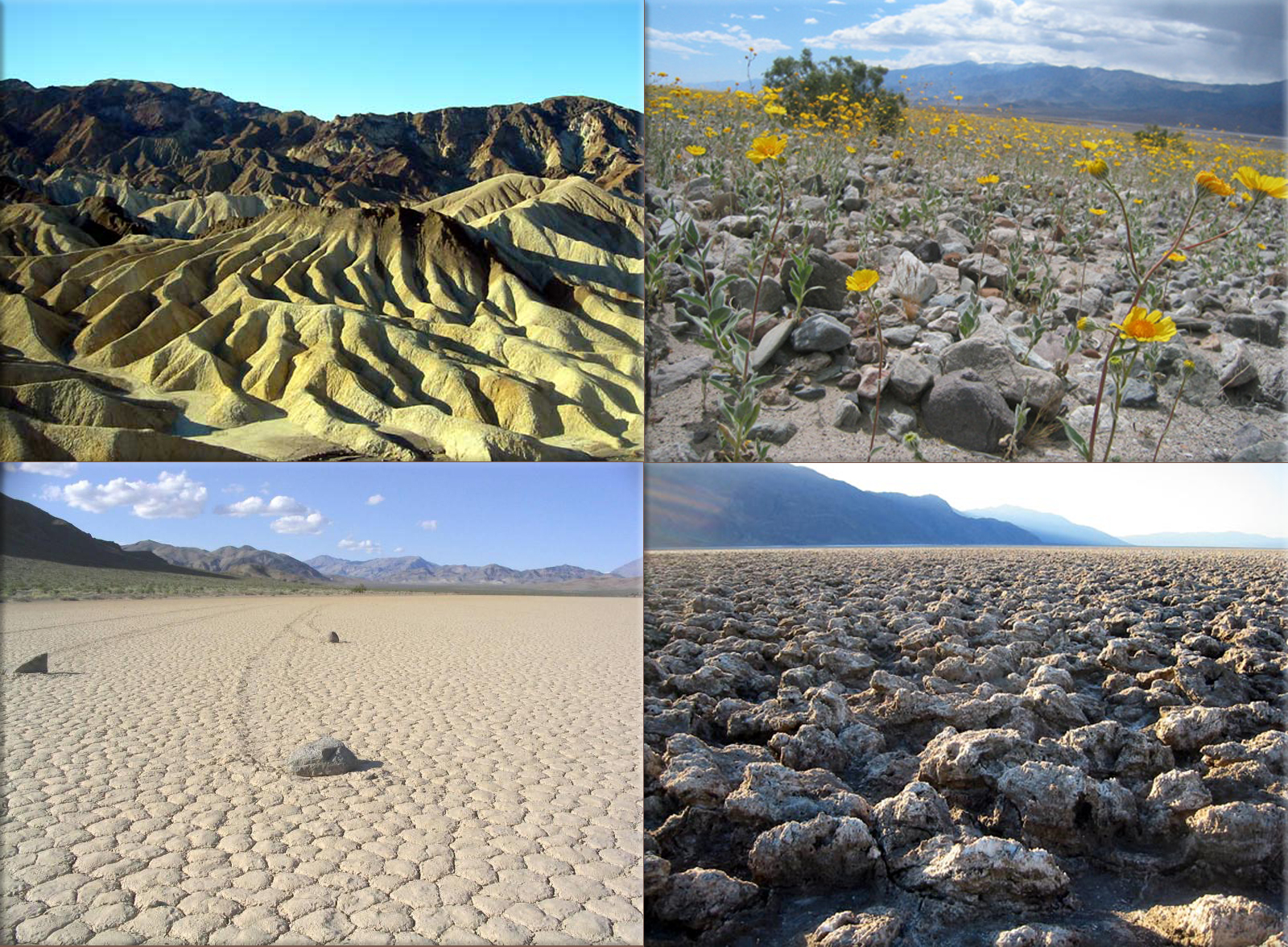 Death Valley, California hits 134 °F (~56.7 °C), the highest temperature recorded in the United States