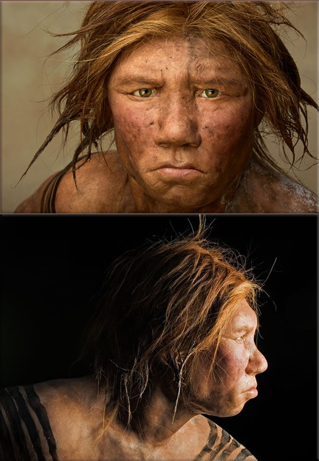 In London scientists report the findings of the DNA analysis of a Neanderthal skeleton which supports the 'out of Africa theory' of human evolution placing an 'African Eve' at 100,000 to 200,000 years ago