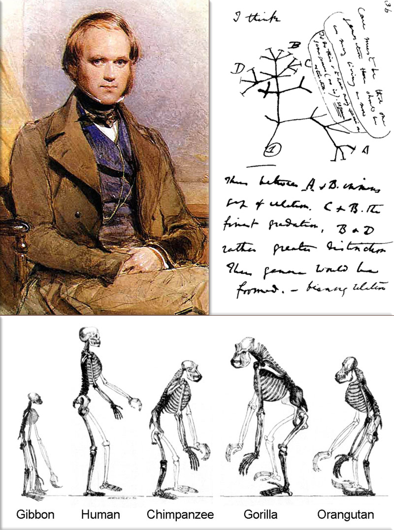 Charles Darwin first publishes his theory of evolution through natural selection in The Journal of the Proceedings of the Linnean Society of London, alongside Alfred Russel Wallace's same theory