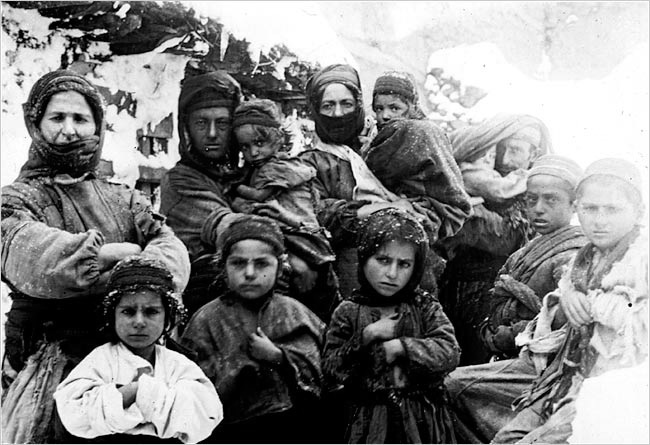 Turkish-Armenian War: 