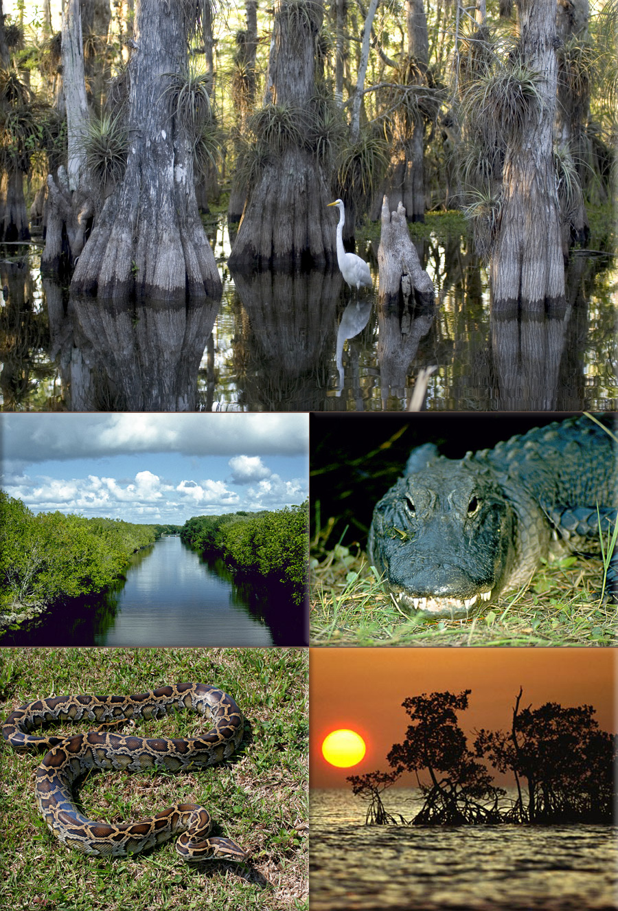 The Everglades National Park in Florida is dedicated