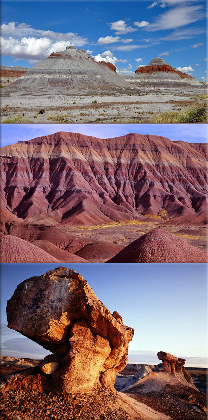 Petrified Forest National Park is established in Arizona