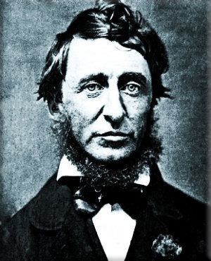 Henry David Thoreau, Quote